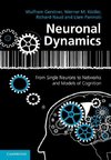 Neuronal Dynamics