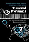 Neuronal Dynamics