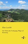 Der Wald, seine Verjüngung, Pflege und Benutzung