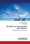 Phosphorus loading into Lake Victoria