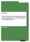 Über die frühe Sturm und Drang Lyrik des Johann Wolfgang von Goethe am Beispiel 