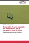 Creación de una escuela de fútbol base en la provincia de Castellón