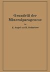 Grundriß der Mineralparagenese