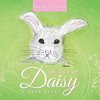 The Tale of Daisy