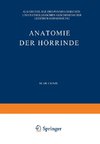 Anatomie der Hörrinde