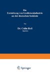 Die Entstehung von Großeisenindustrie an der deutschen Seeküste