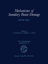 Mechanisms of Secondary Brain Damage