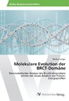 Molekulare Evolution der BRCT-Domäne