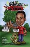 The Adventures of Lil' Stevie Book 1