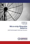 Micro-strip Wearable Antenna