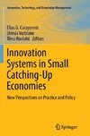 Innovation Systems in Small Catching-Up Economies