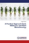 A Practical Approach:Basic Molecular and Plant Biotechnology