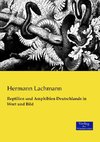 Reptilien und Amphibien Deutschlands in Wort und Bild