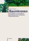 Baumkronen