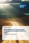 Phenomenal Consciousness:  A Conative-Evaluative Point of View