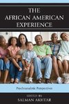 African American Experience