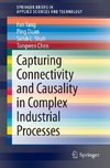 Capturing Connectivity and Causality in Complex Industrial Processes