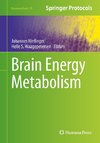 Brain Energy Metabolism