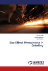 Size Effect Phenomena in Grinding