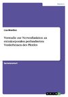 Vorstudie zur Nervenfunktion an extrakorporalen perfundierten Vorderbeinen des Pferdes