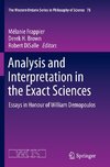 Analysis and Interpretation in the Exact Sciences