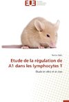 Etude de la régulation de A1 dans les lymphocytes T