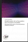 Modélisation de la fissuration des structures en béton