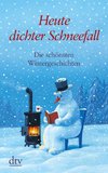 Heute: dichter Schneefall. Großdruck