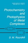 Photochemistry and Photophysics of Metal Complexes