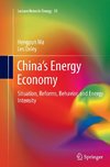 China's Energy Economy