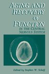 Aging and Recovery of Function in the Central Nervous System