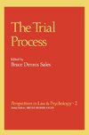 The Trial Process