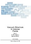 Vacuum Structure in Intense Fields