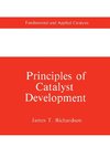 Principles of Catalyst Development