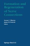 Formation and Regeneration of Nerve Connections