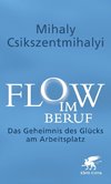 Flow im Beruf