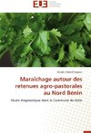 Maraîchage autour des retenues agro-pastorales au Nord Bénin