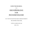 Grenzprobleme der Phänomenologie