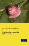 Die Weinbergschnecke