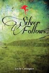 Silver Follows