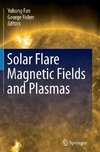 Solar Flare Magnetic Fields and Plasmas