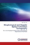 Morphological and Doppler Optical Coherence Tomography