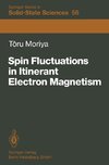 Spin Fluctuations in Itinerant Electron Magnetism