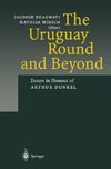 The Uruguay Round and Beyond