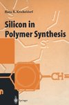 Silicon in Polymer Synthesis