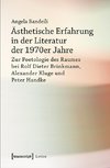 Ästhetische Erfahrung in der Literatur der 1970er Jahre