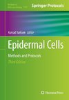 Epidermal Cells