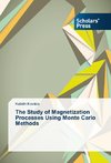 The Study of Magnetization Processes Using Monte Carlo Methods