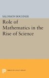 Role of Mathematics in the Rise of Science