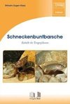 Schneckenbuntbarsche